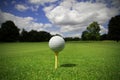 Golf ball on the tee Royalty Free Stock Photo