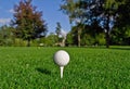 Golf ball on tee Royalty Free Stock Photo