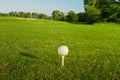 Golf ball on the tee.. Royalty Free Stock Photo