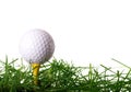 Golf Ball on Tee Royalty Free Stock Photo