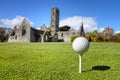 Golf ball on the tee in Adare, Ireland. Royalty Free Stock Photo