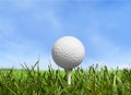 Golf Royalty Free Stock Photo