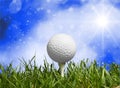 Golf Royalty Free Stock Photo