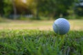 Golf ball on tee in beautiful golf course Royalty Free Stock Photo