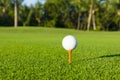 Golf ball on tee on golf course over a blurred green field.