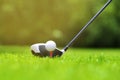 Golf ball on tee in front of driver on a gold course grass green field,the driver positioned ready to hit the ball Royalty Free Stock Photo