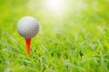 Golf ball on tee in front of driver ready to be shot on green gr Royalty Free Stock Photo