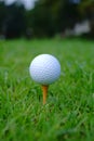 Golf ball and tee with gold course background ready to tee off