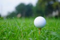 Golf ball and tee with gold course background ready to tee off Royalty Free Stock Photo