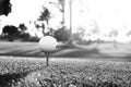 Golf ball on tee on golf course over a blurred green field at the sunset. Black and white. Royalty Free Stock Photo