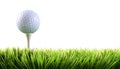 Golf ball with tee in the grass