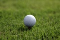 Golf Ball Tee Grass