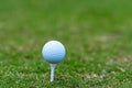 Golf ball on a tee with green background Royalty Free Stock Photo