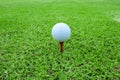 Golf ball on a tee in green grass course