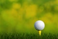 Golf ball on tee green grass golf course Royalty Free Stock Photo