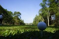 Golf ball is on tee at green lawn in a beautiful golf course with morning sunshine.Ready for golf in the first short Royalty Free Stock Photo