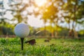 Golf ball is on tee at green lawn in a beautiful golf course with morning sunshine.Ready for golf in the first short Royalty Free Stock Photo