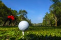 Golf ball is on tee at green lawn in a beautiful golf course with morning sunshine.Ready for golf in the first short Royalty Free Stock Photo