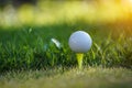 Golf ball is on tee at green lawn in a beautiful golf course with morning sunshine.Ready for golf in the first short Royalty Free Stock Photo