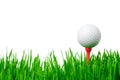 Golf ball on tee isolated