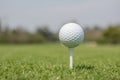 Golf ball on tee off zone with blurred golf course background. Royalty Free Stock Photo