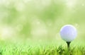 Golf ball on tee over a green Royalty Free Stock Photo