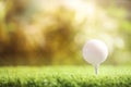 Golf ball with tee in park. Space for design Royalty Free Stock Photo