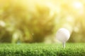 Golf ball with tee in park on day. Space for design Royalty Free Stock Photo