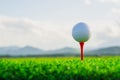 The golf ball on tee pegs ready to play and on green grass in the nature background Royalty Free Stock Photo