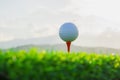 golf ball on tee pegs ready to play in the nature background Royalty Free Stock Photo