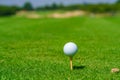 Golf ball on tee ready to be shot at golfcourt Royalty Free Stock Photo