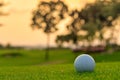 Golf ball on tee ready to be shot at golfcourt Royalty Free Stock Photo