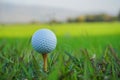Golf ball on tee ready to play in the evening golf course with sunshine Royalty Free Stock Photo