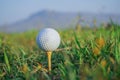 Golf ball on tee ready to play in the evening golf course with sunshine Royalty Free Stock Photo