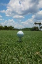 Golf ball teed up on a tee on the green under a blue sky