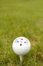 Golf ball whit Compass Royalty Free Stock Photo