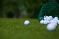Golf balls basket Royalty Free Stock Photo