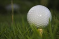 Golf balls and equipment on the grass Royalty Free Stock Photo