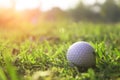 Golf balls on green lawns in beautiful golf courses Royalty Free Stock Photo