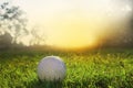 Golf balls on green lawns in beautiful golf courses Royalty Free Stock Photo