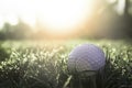 Golf balls on green lawns in beautiful golf courses with sun rise background Royalty Free Stock Photo