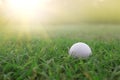 Golf balls on green lawns in beautiful golf courses with sun rise background Royalty Free Stock Photo