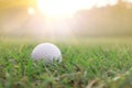 Golf balls on green lawns in beautiful golf courses with sun rise background Royalty Free Stock Photo