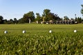 Golf balls on the practice green Royalty Free Stock Photo