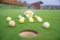 Golf balls and sticks on green golf course Royalty Free Stock Photo