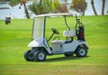 Golf buggy on a fairway Royalty Free Stock Photo