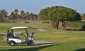 Golf Caddy on the course Royalty Free Stock Photo