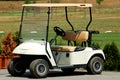 Golf car Royalty Free Stock Photo