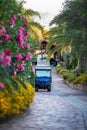 Golf car parked inside a driveway with flowers and plants. Summer vacation resort