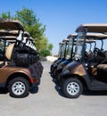 Golf cart on a golf closure. Golf carts and palm tree on blue Royalty Free Stock Photo
